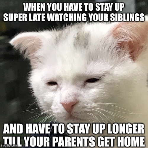 *sad older sibling noises* |  WHEN YOU HAVE TO STAY UP SUPER LATE WATCHING YOUR SIBLINGS; AND HAVE TO STAY UP LONGER TILL YOUR PARENTS GET HOME | image tagged in i'm awake but at what cost,memes,siblings,tired | made w/ Imgflip meme maker