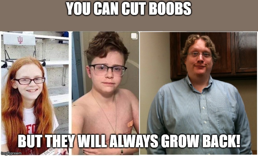 Boobs will come back | image tagged in transgender,gender confusion,gender fluid,conservative,liberal | made w/ Imgflip meme maker