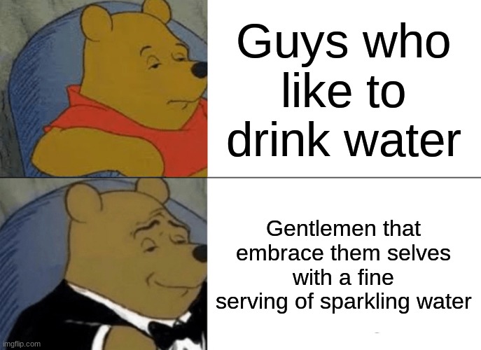 Tuxedo Winnie The Pooh Meme | Guys who like to drink water; Gentlemen that embrace them selves with a fine serving of sparkling water | image tagged in memes,tuxedo winnie the pooh | made w/ Imgflip meme maker