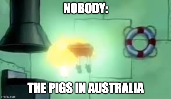 Floating Spongebob | NOBODY: THE PIGS IN AUSTRALIA | image tagged in floating spongebob | made w/ Imgflip meme maker