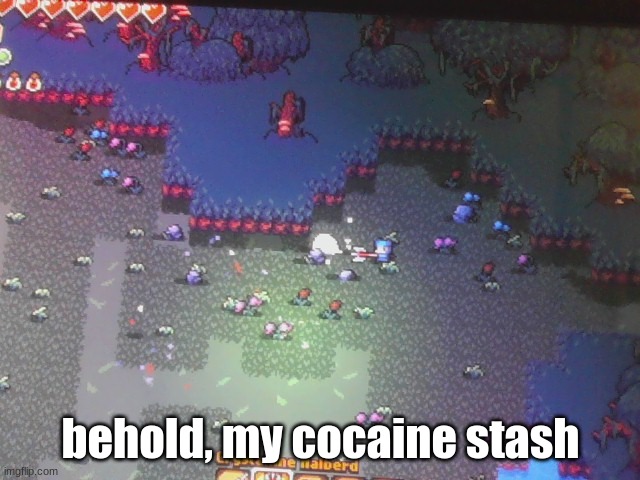 behold, my cocaine stash | made w/ Imgflip meme maker
