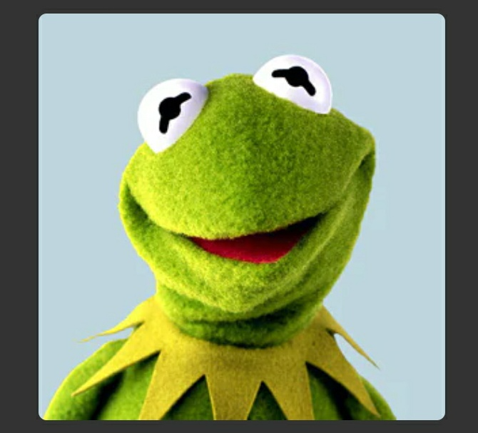 Kermit D Frog Blank Meme Template