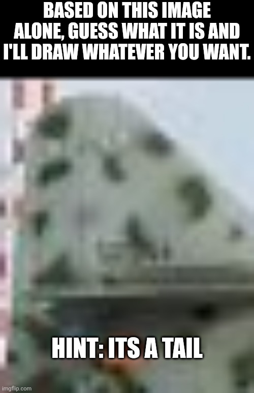 Good luck | BASED ON THIS IMAGE ALONE, GUESS WHAT IT IS AND I'LL DRAW WHATEVER YOU WANT. HINT: ITS A TAIL | made w/ Imgflip meme maker