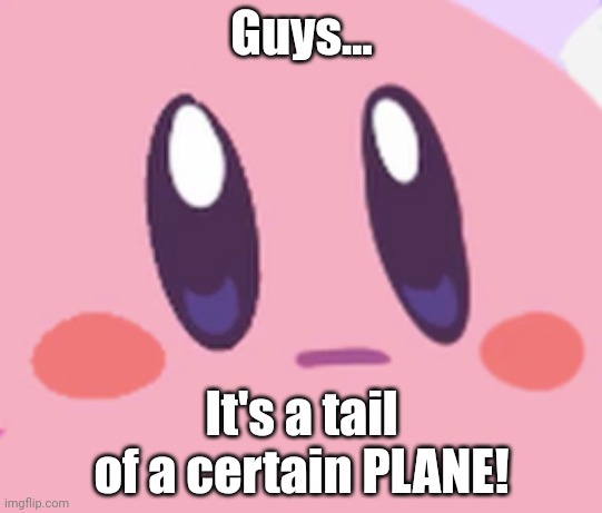 Blank Kirby Face | Guys... It's a tail of a certain PLANE! | image tagged in blank kirby face | made w/ Imgflip meme maker