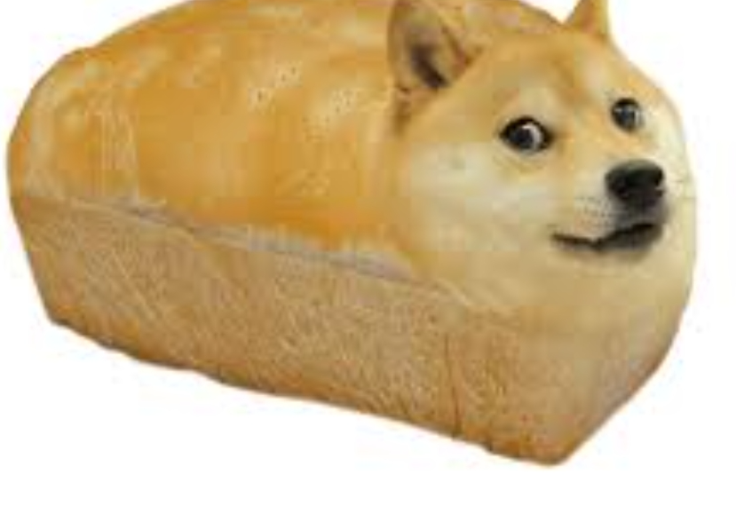 High Quality Doge bread Blank Meme Template