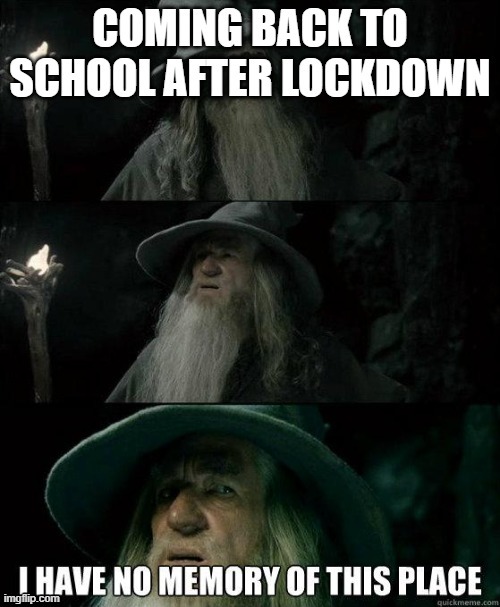 I have no memory of this place. | image tagged in confused gandalf,i have no memory of this place,memes,lotr,gandalf,school after lockdown | made w/ Imgflip meme maker