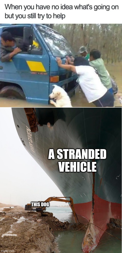Every little bit helps | A STRANDED VEHICLE; THIS DOG | image tagged in suez-canal,funny,fun,funny memes,funny dogs | made w/ Imgflip meme maker