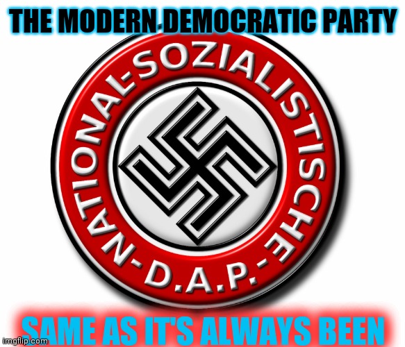 Aw, somebody deleted their meme as a reponce to my Meme | THE MODERN DEMOCRATIC PARTY; SAME AS IT'S ALWAYS BEEN | image tagged in german national socialist party nazis | made w/ Imgflip meme maker
