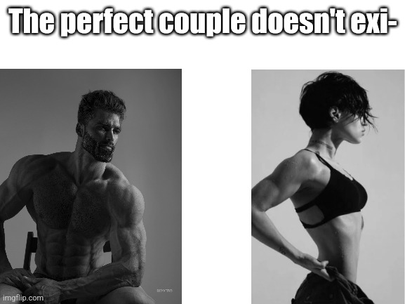 Giga couple | The perfect couple doesn't exi- | image tagged in blank white template,gigachad | made w/ Imgflip meme maker