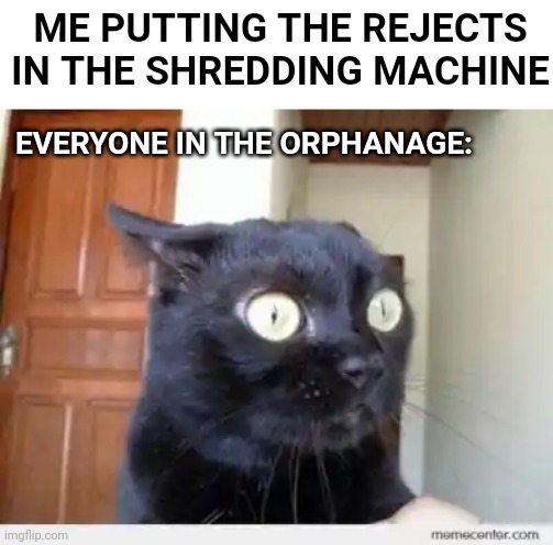 Scared Cat | ME PUTTING THE REJECTS IN THE SHREDDING MACHINE; EVERYONE IN THE ORPHANAGE: | image tagged in scared cat | made w/ Imgflip meme maker