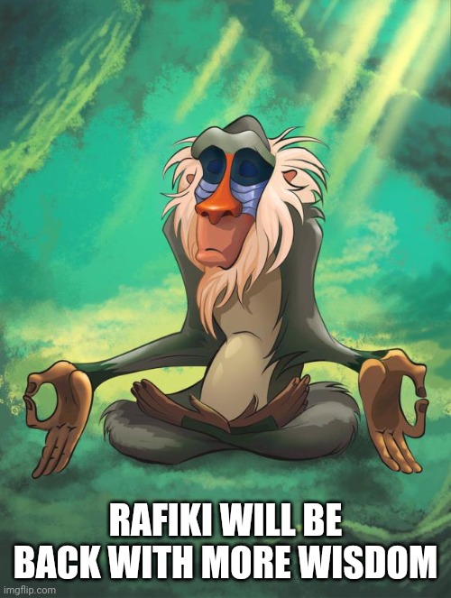 Rafiki wisdom | RAFIKI WILL BE BACK WITH MORE WISDOM | image tagged in rafiki wisdom | made w/ Imgflip meme maker