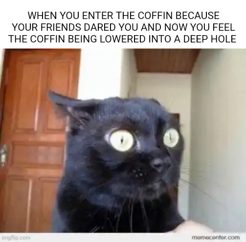 Scared Cat | WHEN YOU ENTER THE COFFIN BECAUSE YOUR FRIENDS DARED YOU AND NOW YOU FEEL THE COFFIN BEING LOWERED INTO A DEEP HOLE | image tagged in scared cat | made w/ Imgflip meme maker