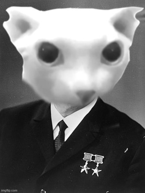 meet bingus brezhnev | made w/ Imgflip meme maker