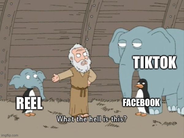What the hell is this? | TIKTOK; FACEBOOK; REEL | image tagged in what the hell is this | made w/ Imgflip meme maker