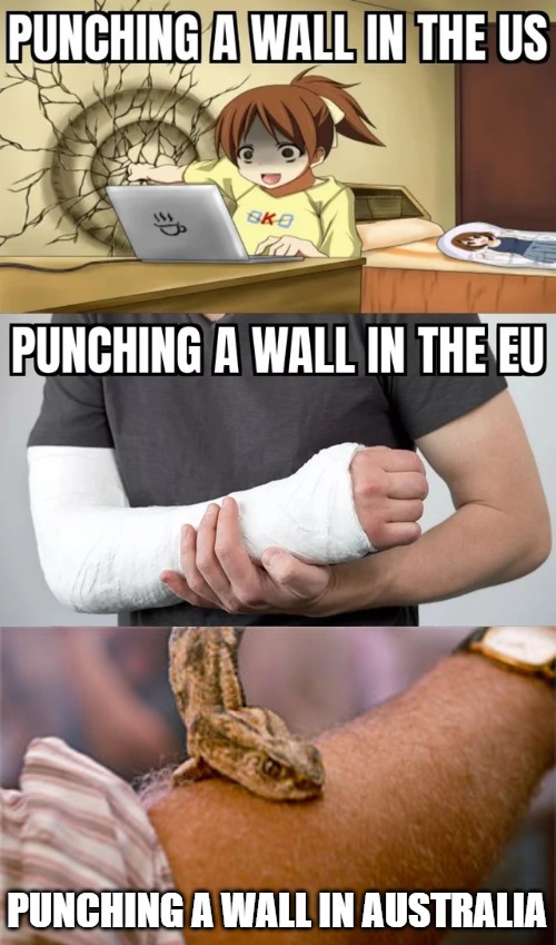 PUNCHING A WALL IN AUSTRALIA | image tagged in pinguino | made w/ Imgflip meme maker
