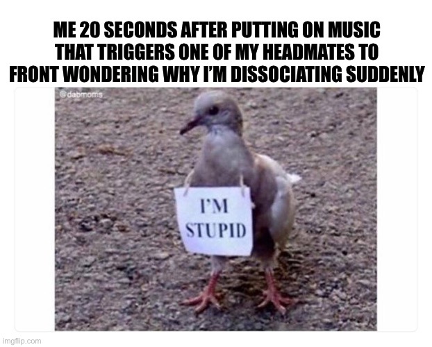 I'm Stupid | ME 20 SECONDS AFTER PUTTING ON MUSIC THAT TRIGGERS ONE OF MY HEADMATES TO FRONT WONDERING WHY I’M DISSOCIATING SUDDENLY | image tagged in i'm stupid | made w/ Imgflip meme maker