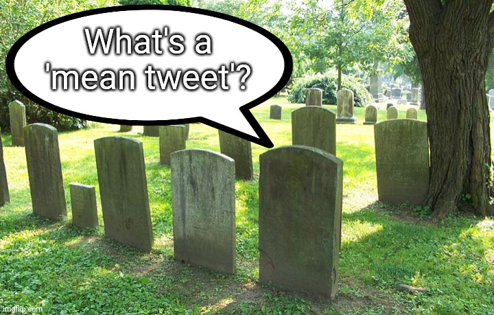 What's a 'mean tweet'? | made w/ Imgflip meme maker