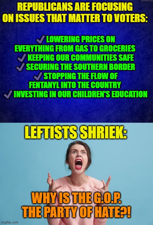 Leftists shriek . . . period. | REPUBLICANS ARE FOCUSING ON ISSUES THAT MATTER TO VOTERS:; ✔️LOWERING PRICES ON EVERYTHING FROM GAS TO GROCERIES
✔️KEEPING OUR COMMUNITIES SAFE
✔️SECURING THE SOUTHERN BORDER
✔️STOPPING THE FLOW OF FENTANYL INTO THE COUNTRY
✔️INVESTING IN OUR CHILDREN'S EDUCATION; LEFTISTS SHRIEK:; WHY IS THE G.O.P. THE PARTY OF HATE?! | image tagged in blue background | made w/ Imgflip meme maker
