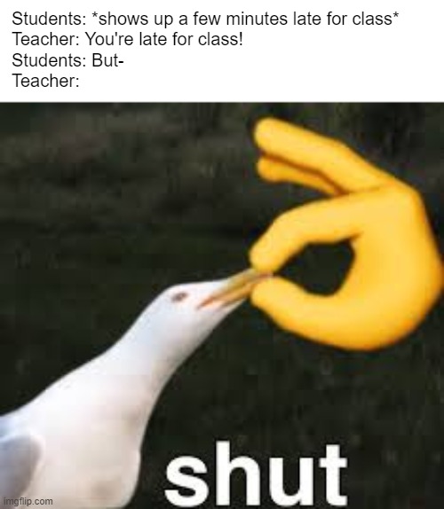 Shut Bird | Students: *shows up a few minutes late for class*
Teacher: You're late for class!
Students: But-
Teacher: | image tagged in shut bird | made w/ Imgflip meme maker