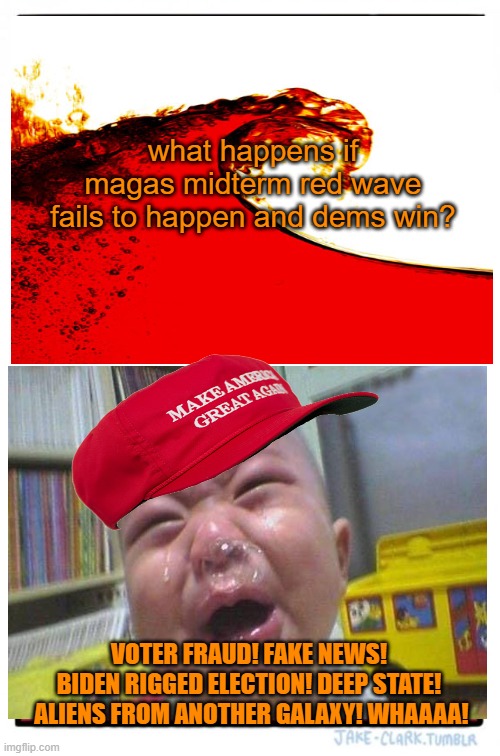 if we win its fair but if we lose... | what happens if magas midterm red wave fails to happen and dems win? VOTER FRAUD! FAKE NEWS! 
BIDEN RIGGED ELECTION! DEEP STATE!
 ALIENS FROM ANOTHER GALAXY! WHAAAA! | image tagged in memes,donald trump,maga,midterms,political meme | made w/ Imgflip meme maker