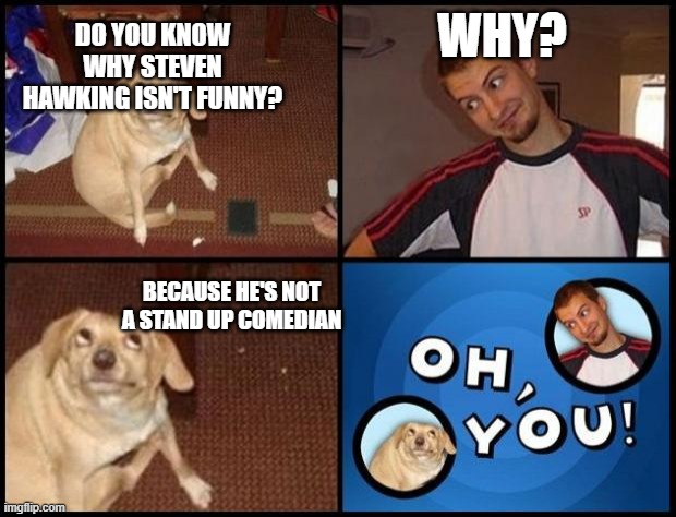Oh You |  WHY? DO YOU KNOW WHY STEVEN HAWKING ISN'T FUNNY? BECAUSE HE'S NOT A STAND UP COMEDIAN | image tagged in oh you,funny,pun,lol | made w/ Imgflip meme maker