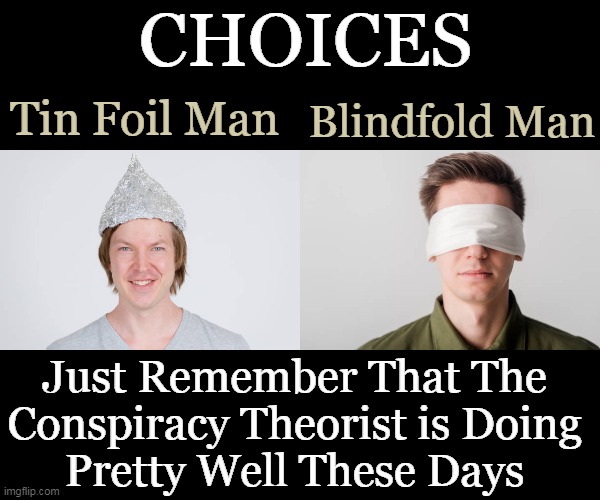 It is Much Easier to See the World with Open Eyes | CHOICES; Blindfold Man; Tin Foil Man; Just Remember That The 
Conspiracy Theorist is Doing 
Pretty Well These Days | image tagged in politics,imgflip humor,tinfoil hat,blindfold,choices,conspiracy theories | made w/ Imgflip meme maker