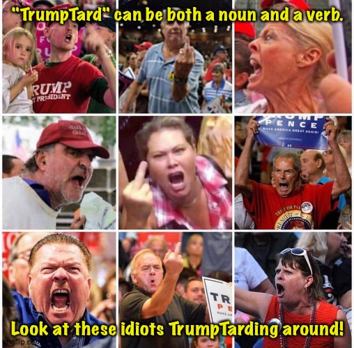 Triggered Trump supporters | "TrumpTard" can be both a noun and a verb. Look at these idiots TrumpTarding around! | image tagged in triggered trump supporters | made w/ Imgflip meme maker
