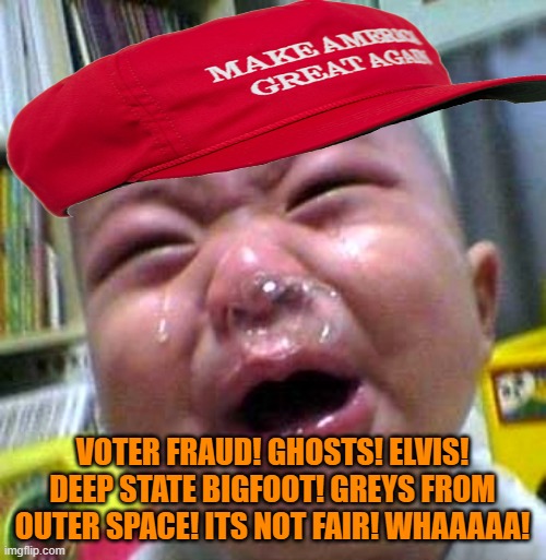 Crying baby snot bubble | VOTER FRAUD! GHOSTS! ELVIS! DEEP STATE BIGFOOT! GREYS FROM OUTER SPACE! ITS NOT FAIR! WHAAAAA! | image tagged in crying baby snot bubble | made w/ Imgflip meme maker