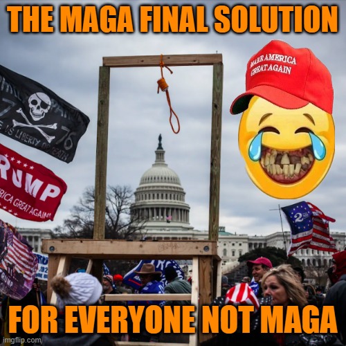 capitol riot insurrection coup Mike Pence gallows noose hanging | THE MAGA FINAL SOLUTION FOR EVERYONE NOT MAGA | image tagged in capitol riot insurrection coup mike pence gallows noose hanging | made w/ Imgflip meme maker