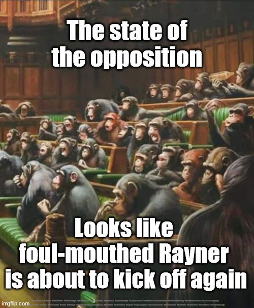 Foul-mouthed Angela Rayner | The state of the opposition; Looks like 
foul-mouthed Rayner 
is about to kick off again; #Starmerout #Labour #JonLansman #wearecorbyn #KeirStarmer #DianeAbbott #McDonnell #cultofcorbyn #labourisdead #Momentum #labourracism #socialistsunday #nevervotelabour #socialistanyday #Antisemitism #Savile #SavileGate #Paedo #Worboys #GroomingGangs #Paedophile #BeerGate #DurhamGate #Rayner #AngelaRayner #BasicInstinct #SharonStone #BeerGate #DurhamGate #CurryGate #StarmerResign | image tagged in labour,labourisdead,cultofcorbyn,starmerout getstarmerout,angela rayner | made w/ Imgflip meme maker