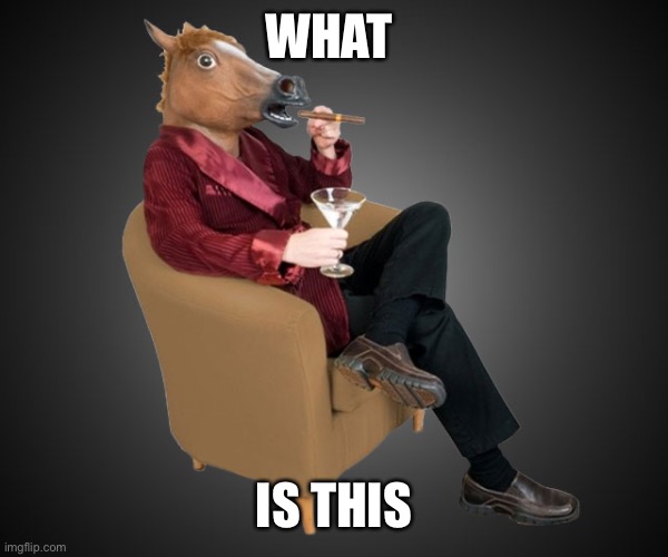 Horsehead | WHAT IS THIS | image tagged in horsehead | made w/ Imgflip meme maker