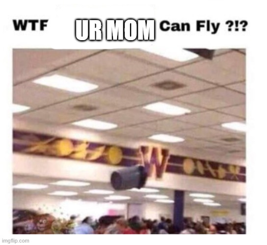 WTF --------- Can Fly ?!? | UR MOM | image tagged in wtf --------- can fly | made w/ Imgflip meme maker