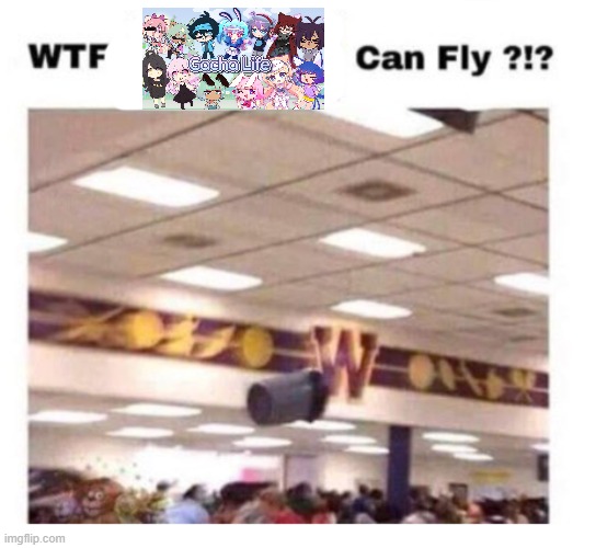 WTF --------- Can Fly ?!? | image tagged in wtf --------- can fly | made w/ Imgflip meme maker