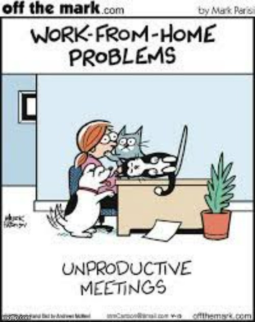 image tagged in memes,comics,cats,dogs,work from home,meetings | made w/ Imgflip meme maker