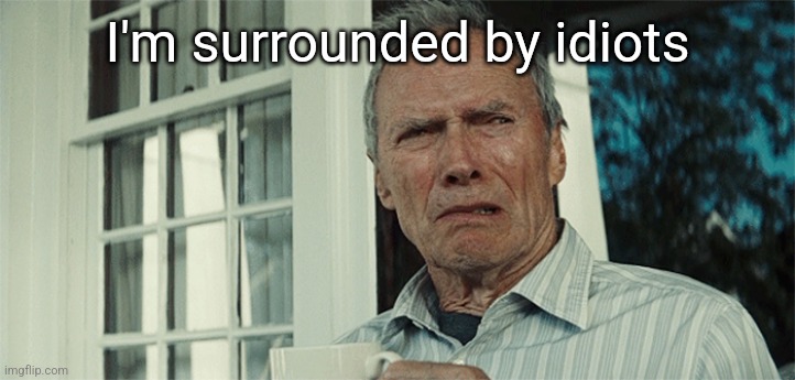 Clint Eastwood WTF | I'm surrounded by idiots | image tagged in clint eastwood wtf | made w/ Imgflip meme maker