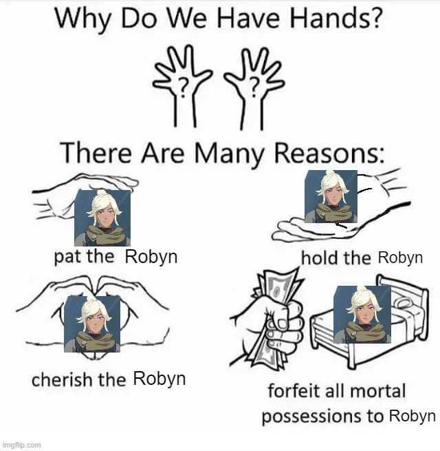 Why do we have hands? (all blank) | Robyn; Robyn; Robyn; Robyn | image tagged in why do we have hands all blank | made w/ Imgflip meme maker