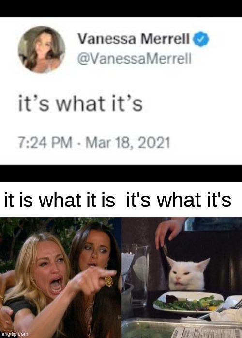 it is what it is; it's what it's | image tagged in memes,woman yelling at cat | made w/ Imgflip meme maker
