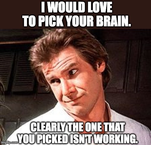 Brain | I WOULD LOVE TO PICK YOUR BRAIN. CLEARLY THE ONE THAT YOU PICKED ISN'T WORKING. | image tagged in snarky solo | made w/ Imgflip meme maker