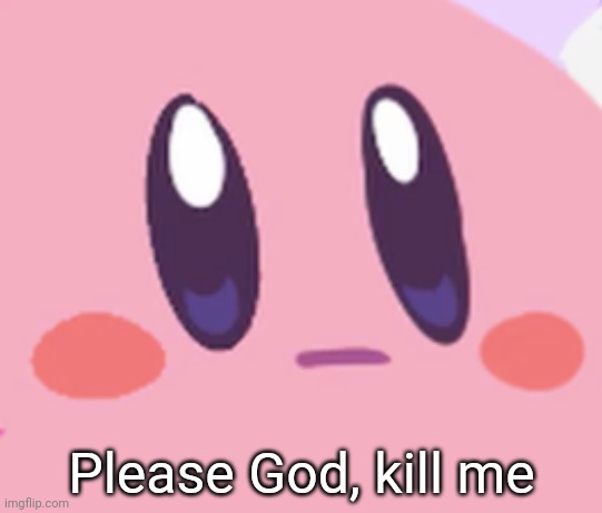 Blank Kirby Face | Please God, kill me | image tagged in blank kirby face | made w/ Imgflip meme maker