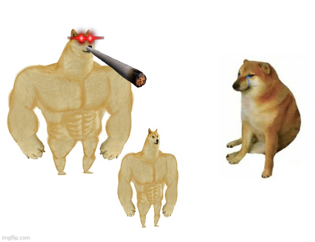 Increasing Doge Vs Cheems Blank Meme Template