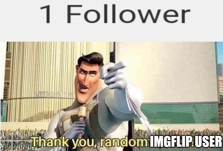 Dumb Meme #64 | IMGFLIP USER | image tagged in thank you random citizen | made w/ Imgflip meme maker