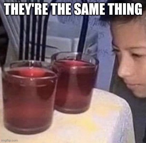 Same thing | THEY'RE THE SAME THING | image tagged in same thing | made w/ Imgflip meme maker