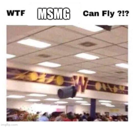 WTF --------- Can Fly ?!? | MSMG | image tagged in wtf --------- can fly | made w/ Imgflip meme maker
