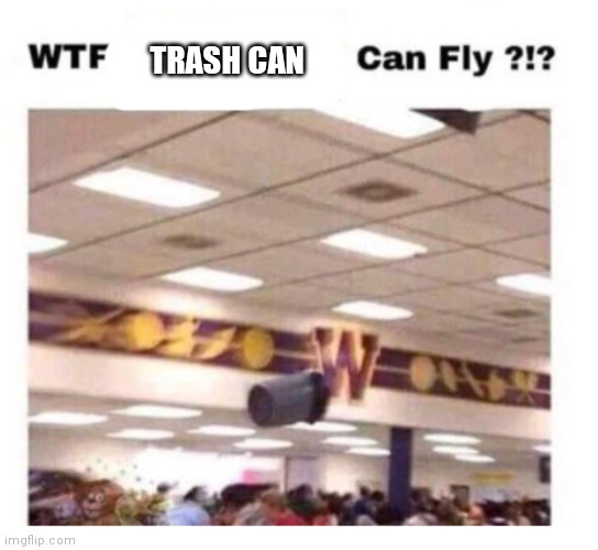 Anti meme moment | TRASH CAN | image tagged in wtf --------- can fly | made w/ Imgflip meme maker