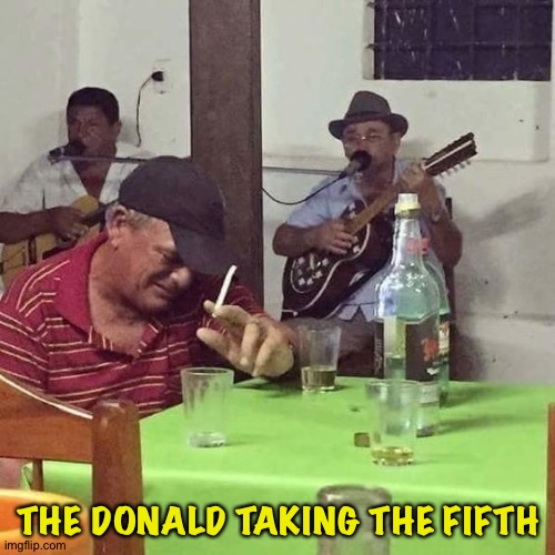 man at bar | THE DONALD TAKING THE FIFTH | image tagged in man at bar | made w/ Imgflip meme maker