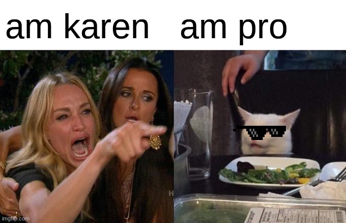 karen VS sebee(AKA friknob) | am karen; am pro | image tagged in memes,woman yelling at cat | made w/ Imgflip meme maker