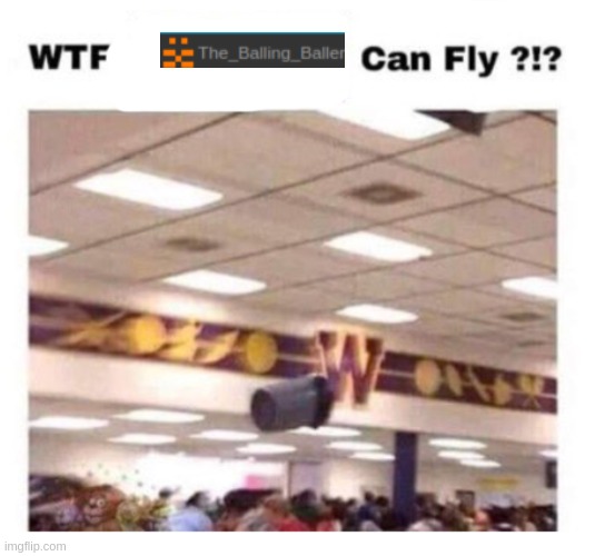 WTF --------- Can Fly ?!? | image tagged in wtf --------- can fly | made w/ Imgflip meme maker