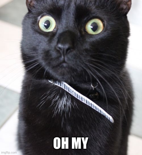 Woah Kitty Meme | OH MY | image tagged in memes,woah kitty | made w/ Imgflip meme maker