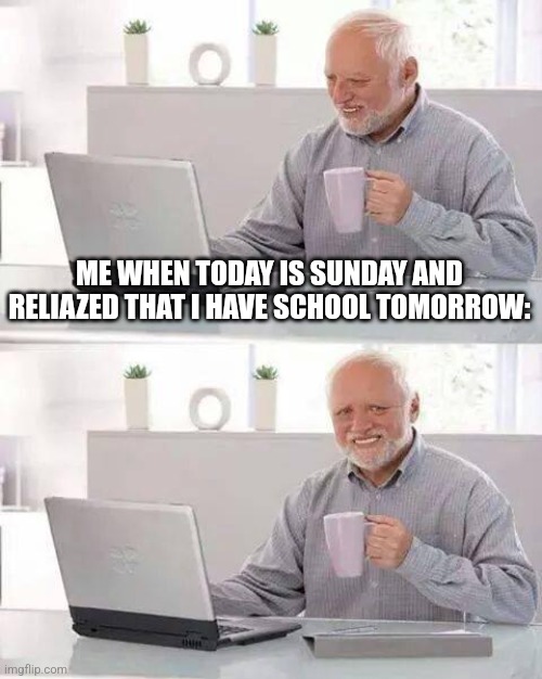I found that I have school that day | ME WHEN TODAY IS SUNDAY AND RELIAZED THAT I HAVE SCHOOL TOMORROW: | image tagged in memes,hide the pain harold,school | made w/ Imgflip meme maker