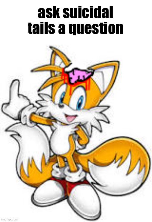 ask suicidal tails a question | made w/ Imgflip meme maker